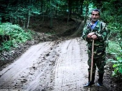 ۳ هزار قرق‌بان جنگل‌های مازندران در انتظار پرداخت حقوق
