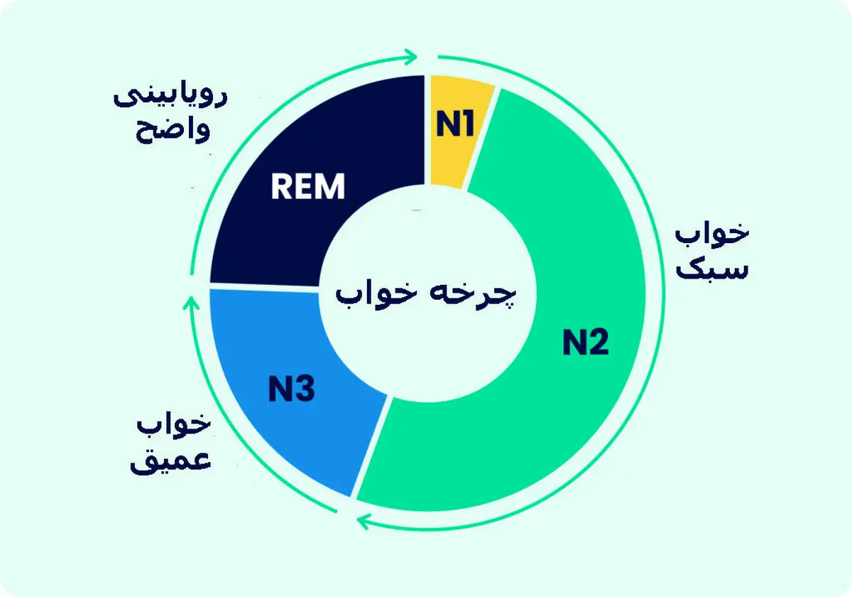 خواب ۴ مرحله‌ای با بدن چه می‌کند؟