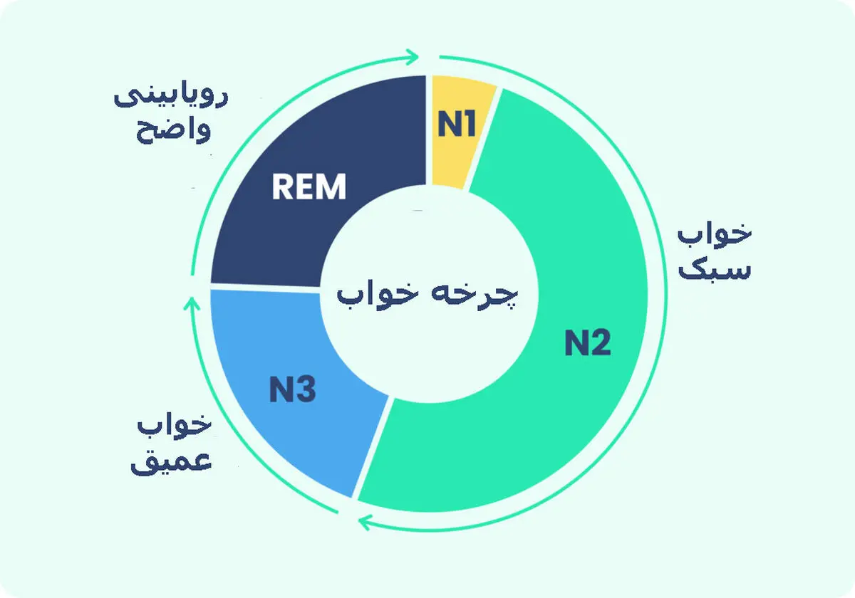 خواب ۴ مرحله‌ای با بدن چه می‌کند؟