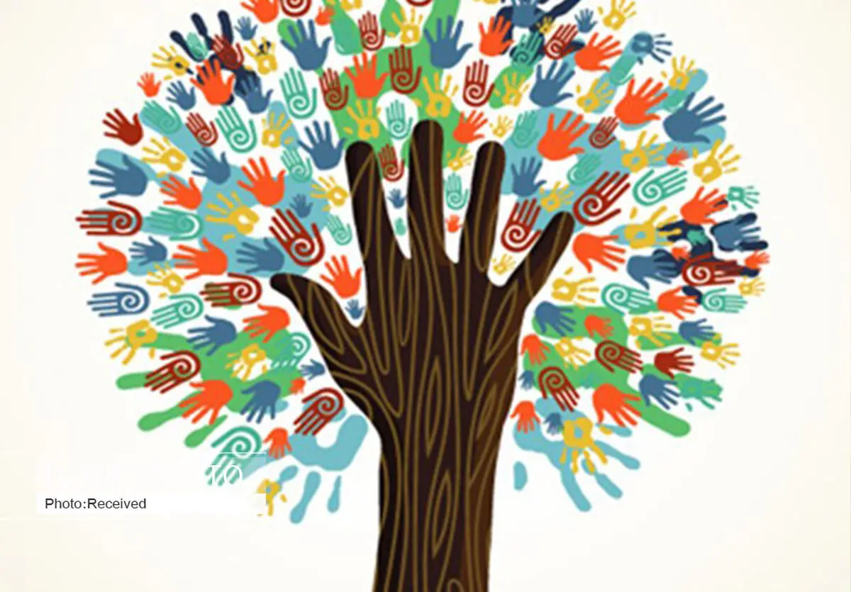 تعداد سمن جوانان قزوین به 87 مورد افزایش می‌یابد