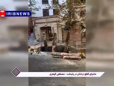 ماجرای قطع درختان در پایتخت چیست؟ + فیلم