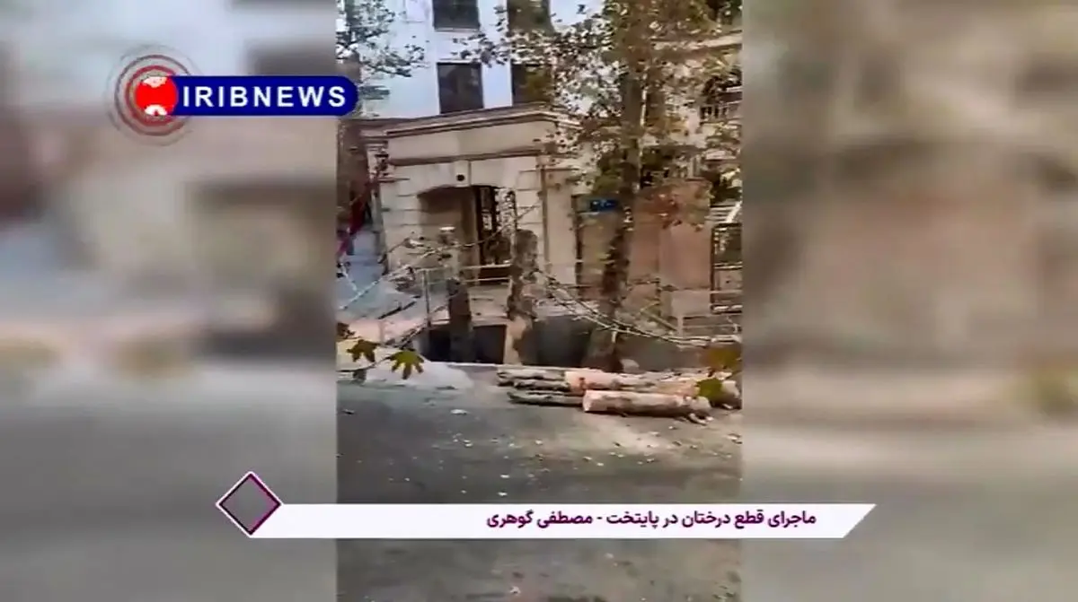 ماجرای قطع درختان در پایتخت چیست؟ + فیلم