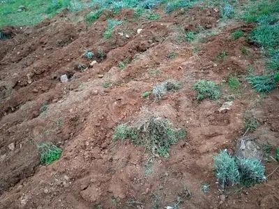 انتقال ۲۸ هکتار اراضی ملی برای ساخت مسکن روستایی به بنیاد مسکن آذربایجان‌شرقی 