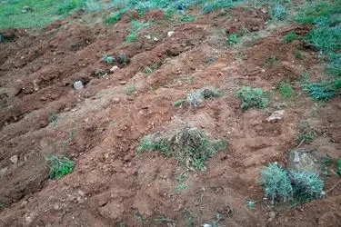 انتقال ۲۸ هکتار اراضی ملی برای ساخت مسکن روستایی به بنیاد مسکن آذربایجان‌شرقی 