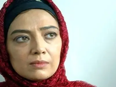 پیکر پردیس افکاری در قطعه هنرمندان آرام گرفت