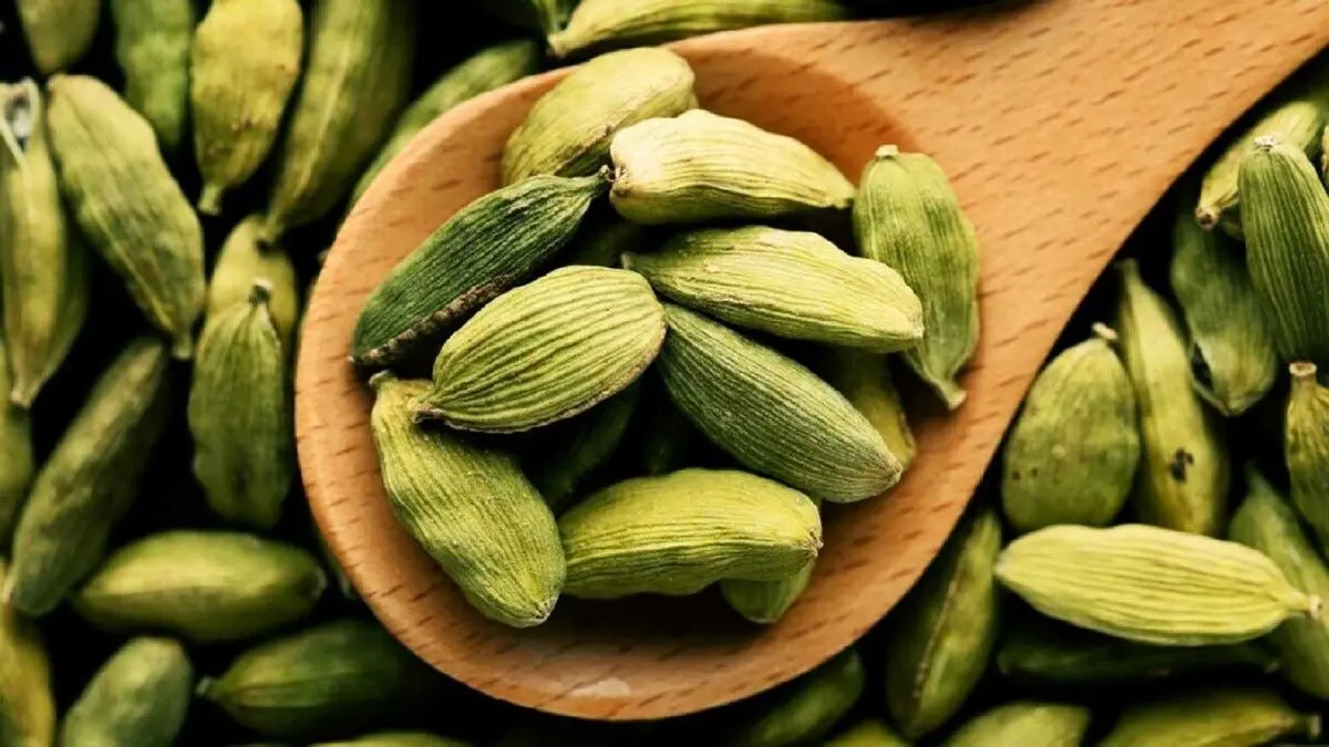 گیاهی معطر با خواص درمانی فراوان