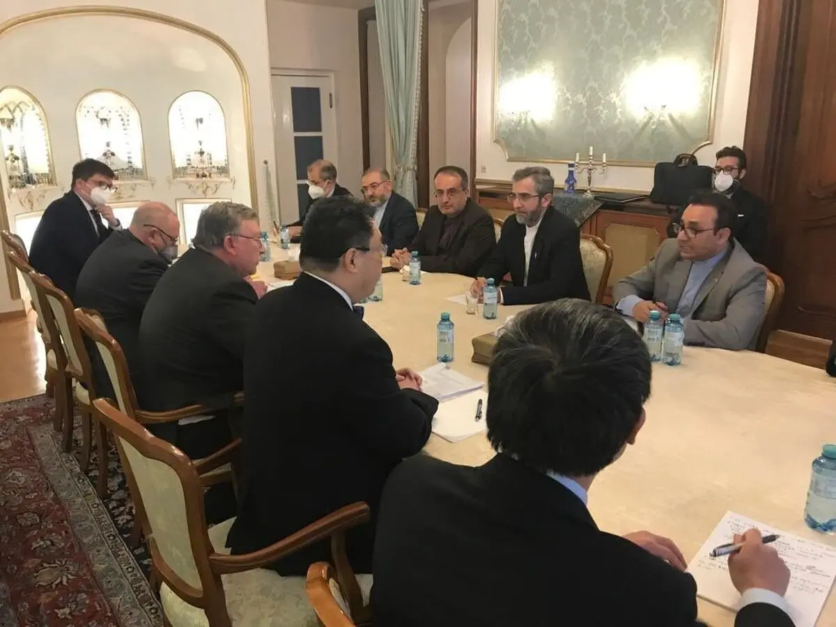 کبیر المفاوضین الایرانیین اجرى مشاورات دبلوماسیة مکثفة فی فیینا