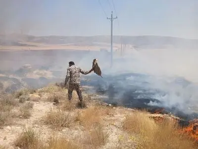 آتش‌سوزی محدوده ده‌شیخ مهار شد/ مشارکت یگان حفاظت راه و شهرسازی فارس در عملیات اطفا