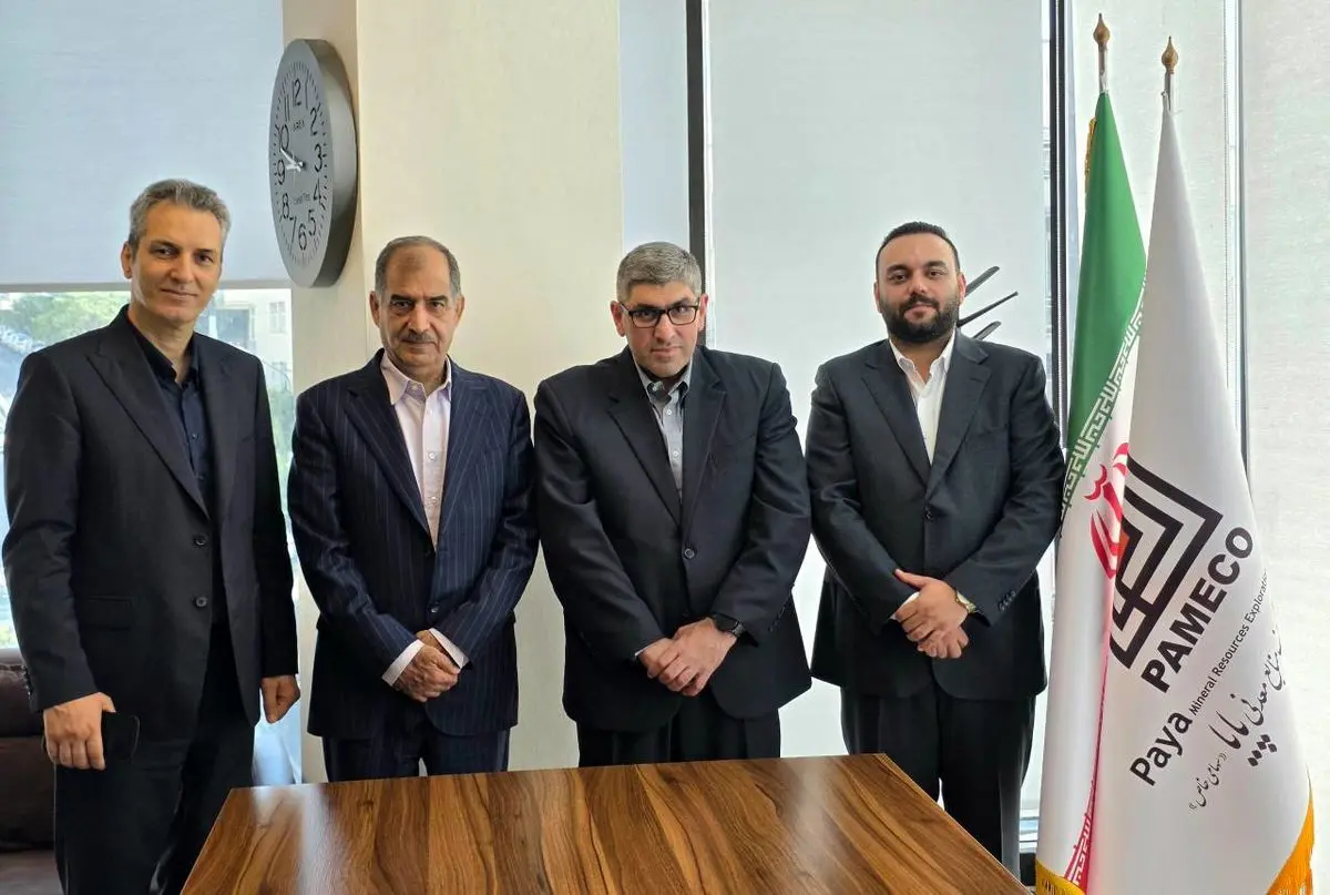 کریتی ثانی سکاندار جدید شرکت پایا شد