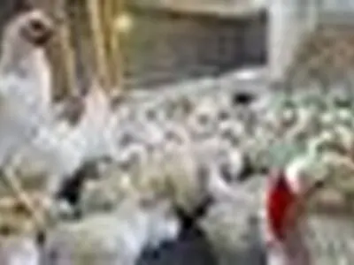 راه اندازی مرغداری گوشتی 20هزارقطعه ای با مشارکت بانک کشاورزی استان کرمانشاه 