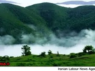 سازمان جنگل‌ها و مراتع با احداثجاده در جنگل ابر مخالف است