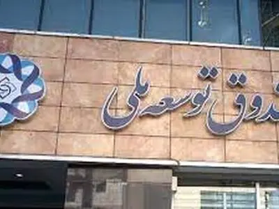 بنگاه‌داری برای صندوق توسعه ملی سم مهلک است