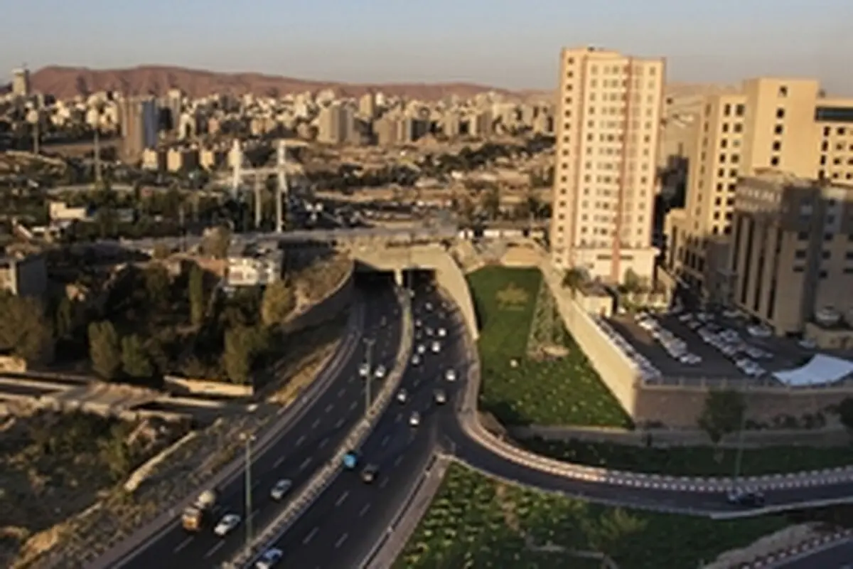 رشد درختان، معضل ترافیکی در تبریز نیست