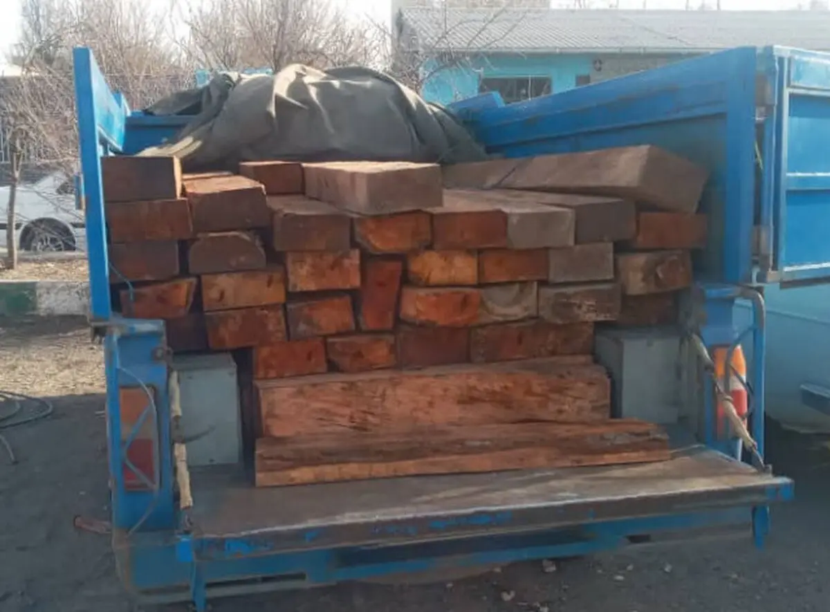 کشف 50 اصله قنداق قاچاق جنگلی در استان اردبیل