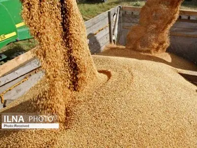 وقتی گزارشهای سفارشی جای کارنامه واقعی را میگیرد