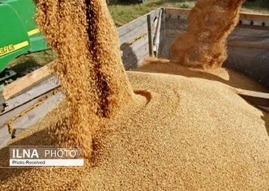 نهاده‌های دامی با نرخ توافقی در بازارگاه عرضه شد