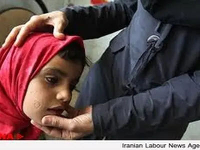 اعتبارات مبارزه با سالک در اصفهان محقق نشده است / توقف «جونده کشی»