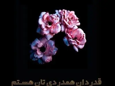 پیام قدردانی معاون دبیرکل خانه کارگر از مسئولان و فعالان کارگری بابت پیام‌های همدردی 