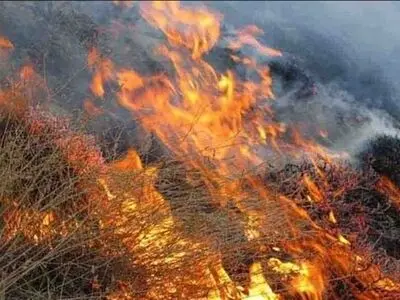  ۵۰ هکتار از مراتع و مناطق حفاظت‌شده شهرستان در آتش سوخت
