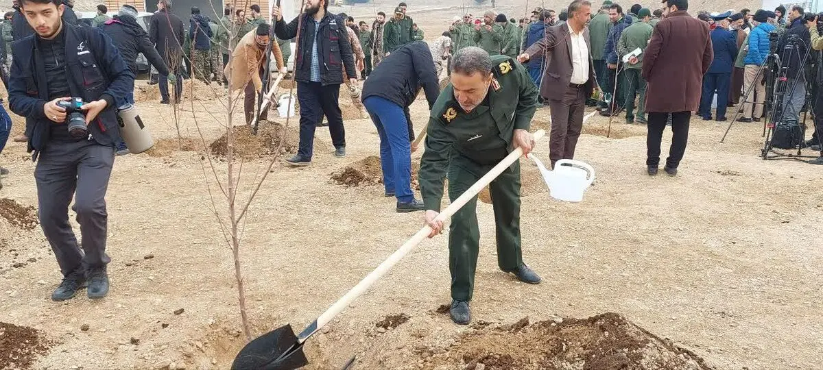 سالی ۵۰ میلیون نهال در کار مشترک با منابع طبیعی کاشته می‌شود