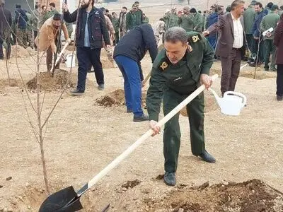 سالی ۵۰ میلیون نهال در کار مشترک با منابع طبیعی کاشته می‌شود
