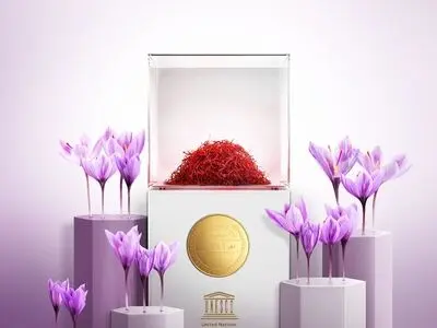 کمیسیون ملی یونسکو در ایران چه می‌کند؟