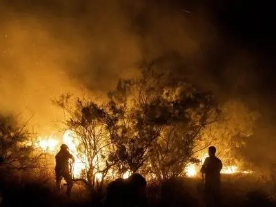 با سه بالگرد و ده شبانه‌روز؛ تلاش برای مهار آتش‌سوزی گسترده الیت چالوس 