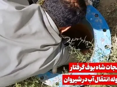 تصاویری از نجات یک شاه بوف از لوله انتقال آب