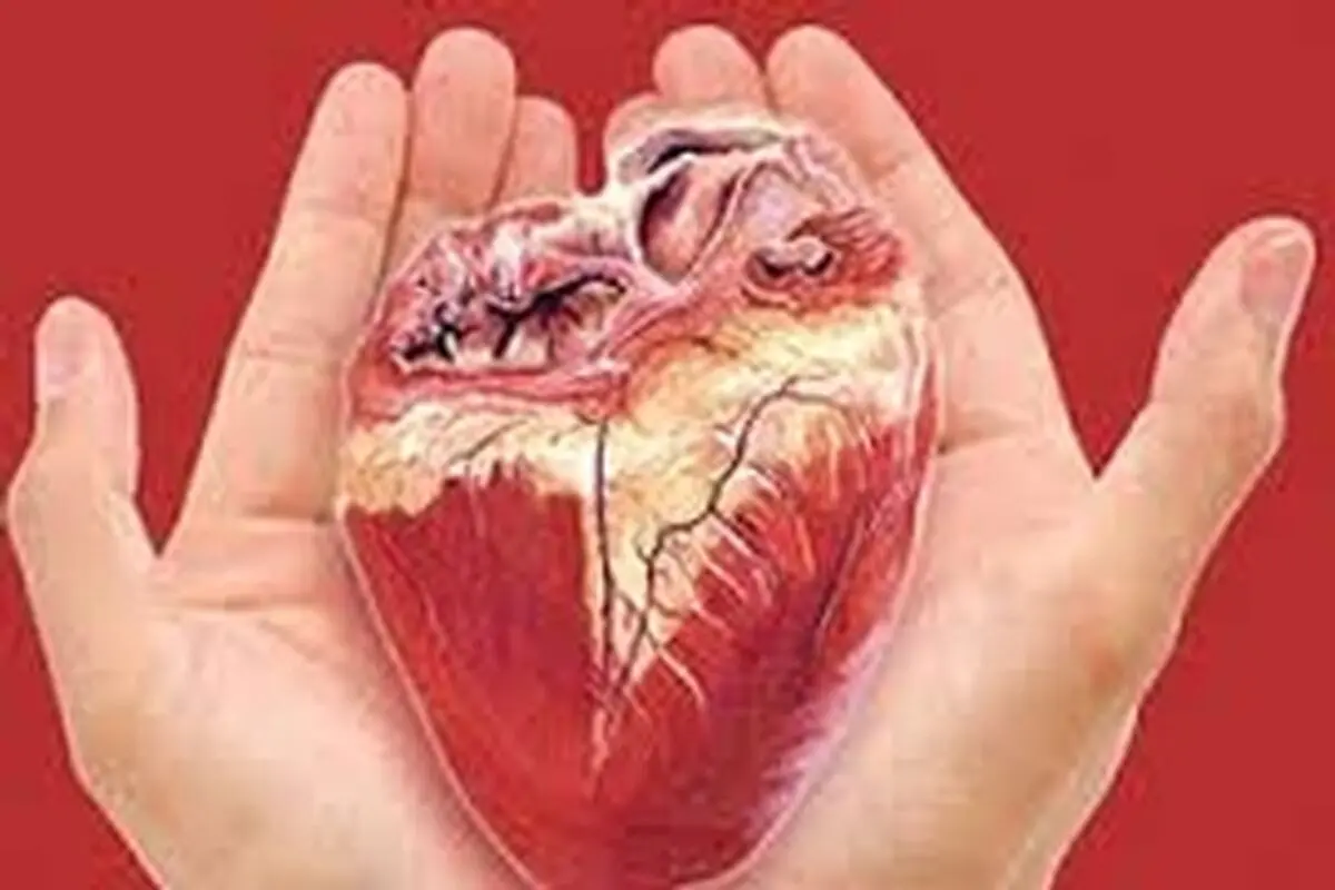 " مازیار " با اهدای اعضای بدن خود زندگی دوباره به ۵ نفر بخشید