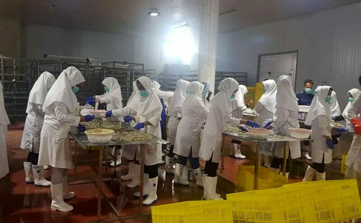 روایت بیکاری شش کارگر بومی کشت و صنعت مکران