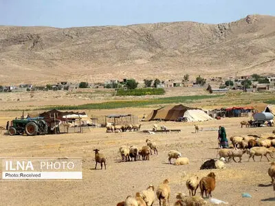 لزوم  افزایش نقدینگی و جذب سرمایه در شرکت‌های تعاونی عشایری در اردبیل