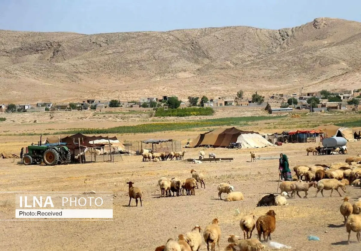 556 خانوار عشایری قزوین از خدمات زیربنایی بهره‌مند می‌شوند