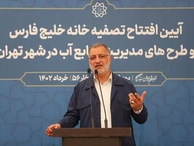 ۶۵ میلیون متر مکعب منابع آبی برای آبیاری فضای سبز تهران کم داریم