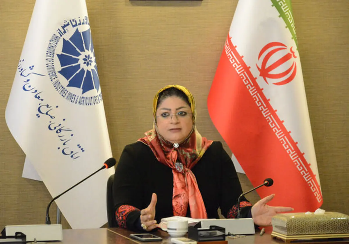 بدنه دستگاه های دولتی کشور با مباحث روز سرمایه گذاری آشنا نیستند/در حوزه جذب سرمایه گذار رویه مشخص نداریم