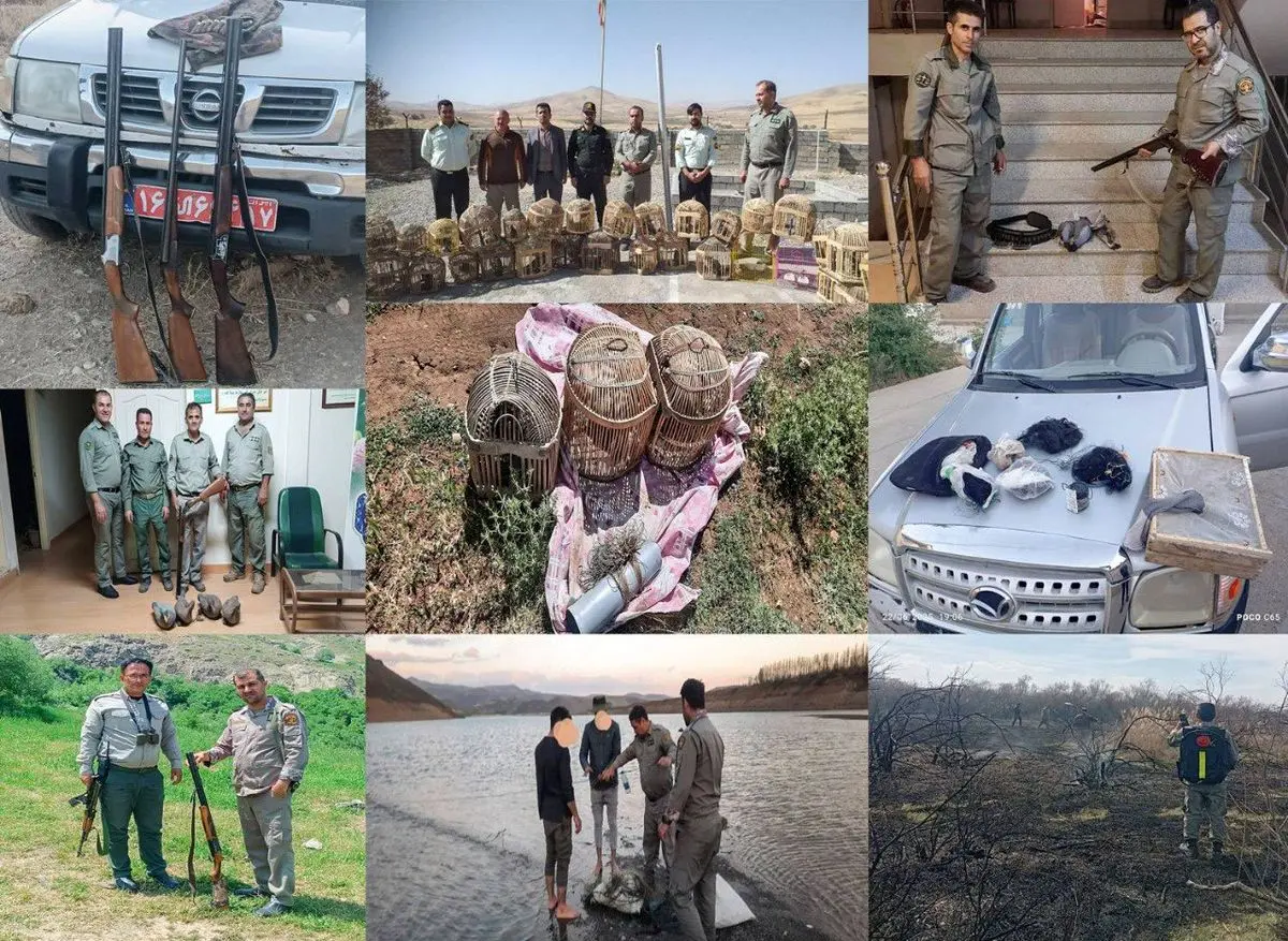 کشف ۶۷ تخلف محیط زیستی در ۶ ماهه نخست سال فقط در یک استان