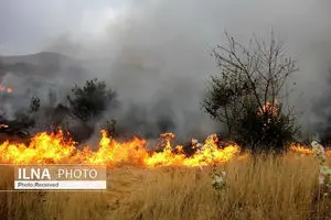 مهار ۴ آتش سوزی در مراتع اصفهان طی ۲۴ ساعت گذشته