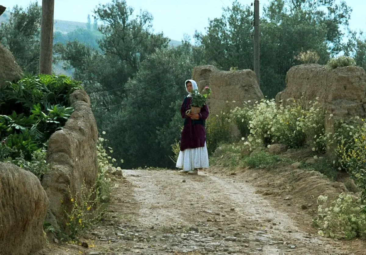 جشنواره جهانی فیلم فجر با نمایش فیلمی از عباس کیارستمی افتتاح میشود