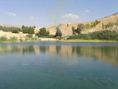 ''سراب مورت'' گیلانغرب و رویشگاه میوه ''مورد '' ثبت ملی شد