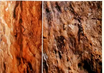 معرفی شواهدِ برادری شهروندان تهران و آلیکانته/ نقش‌مایه‌های نوسنگی غارهای اسپانیا نشان از حضور موعظه‌گرها دارد/ اجداد ما غذاهایی می خوردند که عمرشان طولانی شود