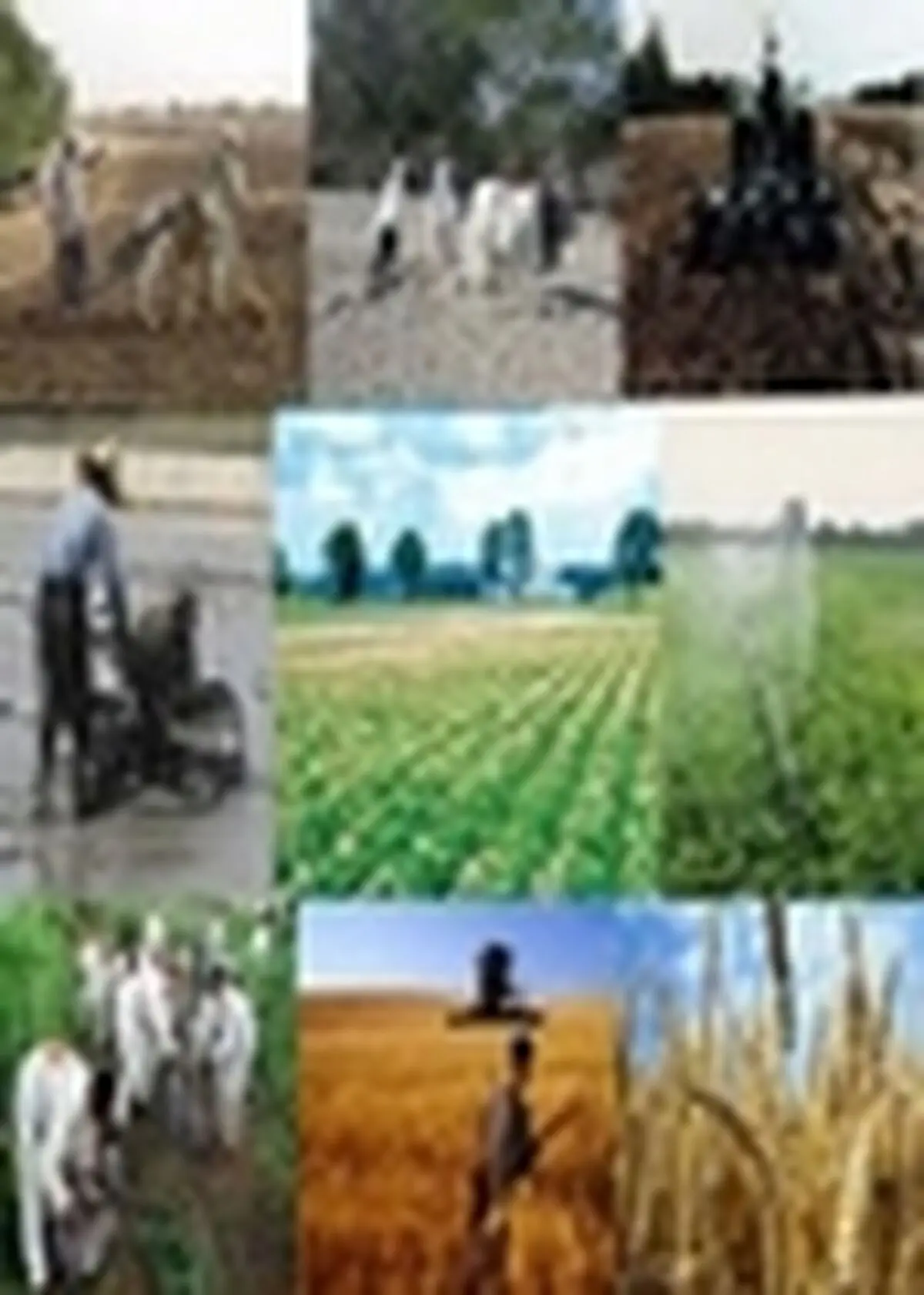 برنامه خرید ۵۰۰ دستگاه تراکتور سنگین در سال جاری میلادی