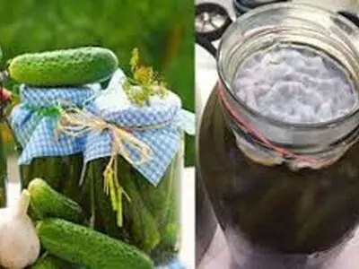 جلوگیری از کپک زدن خیارشور با چند ترفند تضمینی !