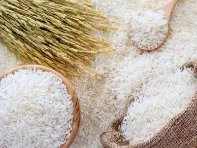 نرخ جدید انواع برنج در میادین میوه و تره‌بار تهران اعلام شد