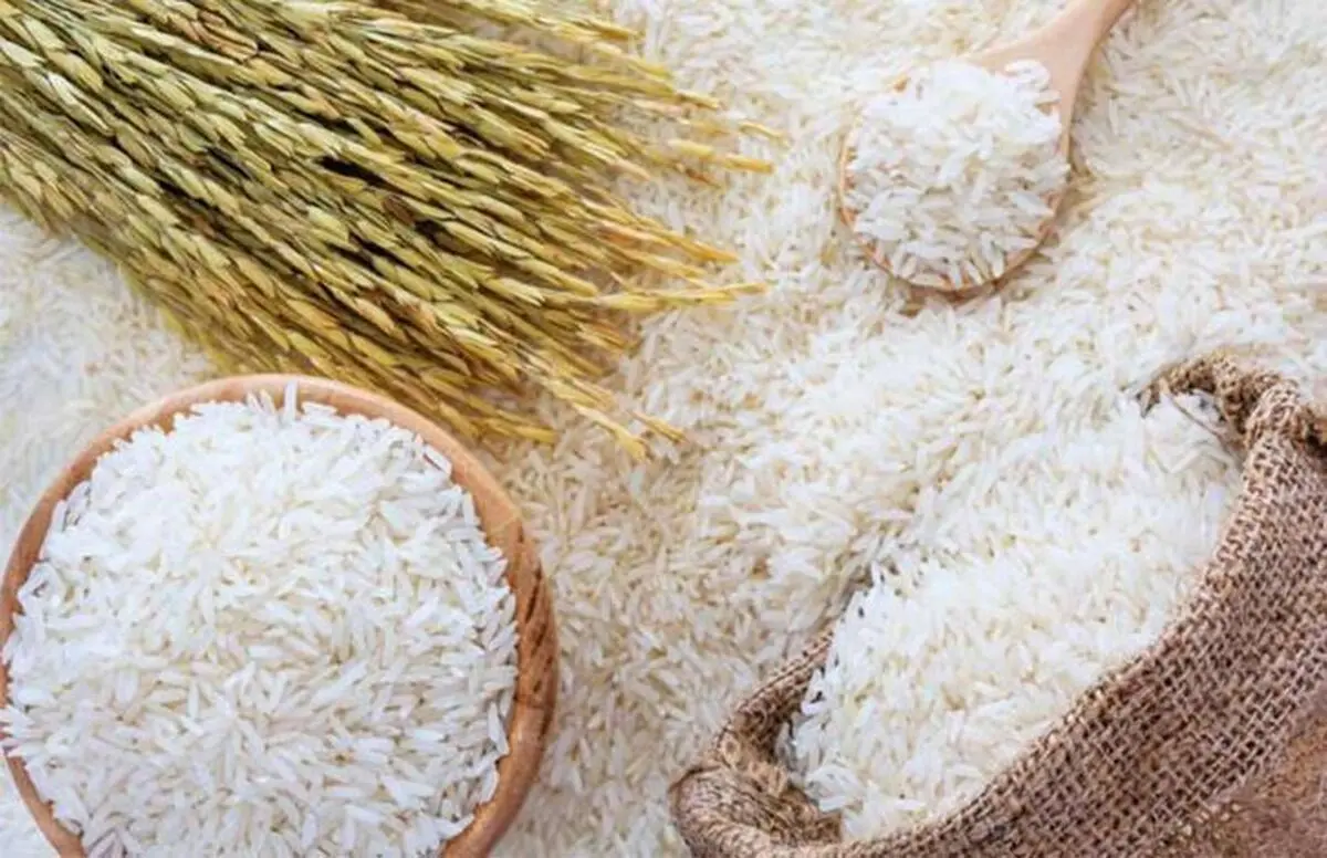 نرخ جدید انواع برنج در میادین میوه و تره‌بار تهران اعلام شد