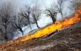 حریق در استان‌های زاگرس‌نشین؛ چالش مدیریت بحران 