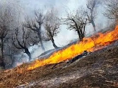 مهار آتش‌سوزی منطقه حفاظت‌شده کوه دیل در شهرستان گچساران