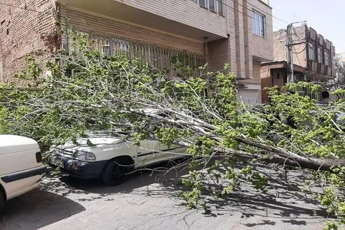 هشدار وزش تندباد و احتمال سقوط تجهیزات شهری