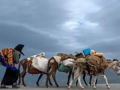 ایل راه دزپارت میزبان کوچ پائیزه عشایر به سمت خوزستان 