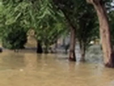 امدادرسانی هلال احمر به ۲۰۰ نفر سیل زده سیستانی