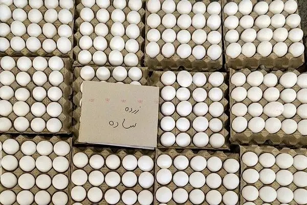 Iran exports 55,000 mt of eggs in 4 months to July