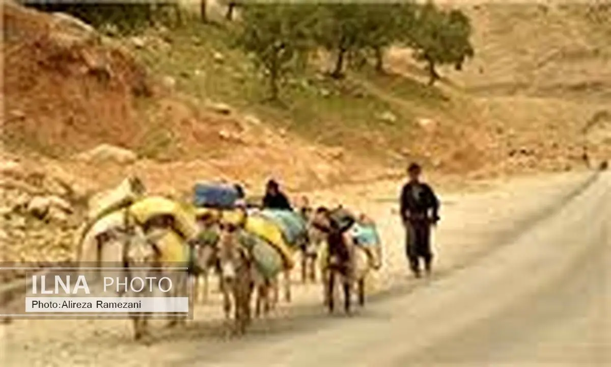 صدور ۶۰۰ کارت شناسایی سرپرست خانوار برای عشایر استان تهران